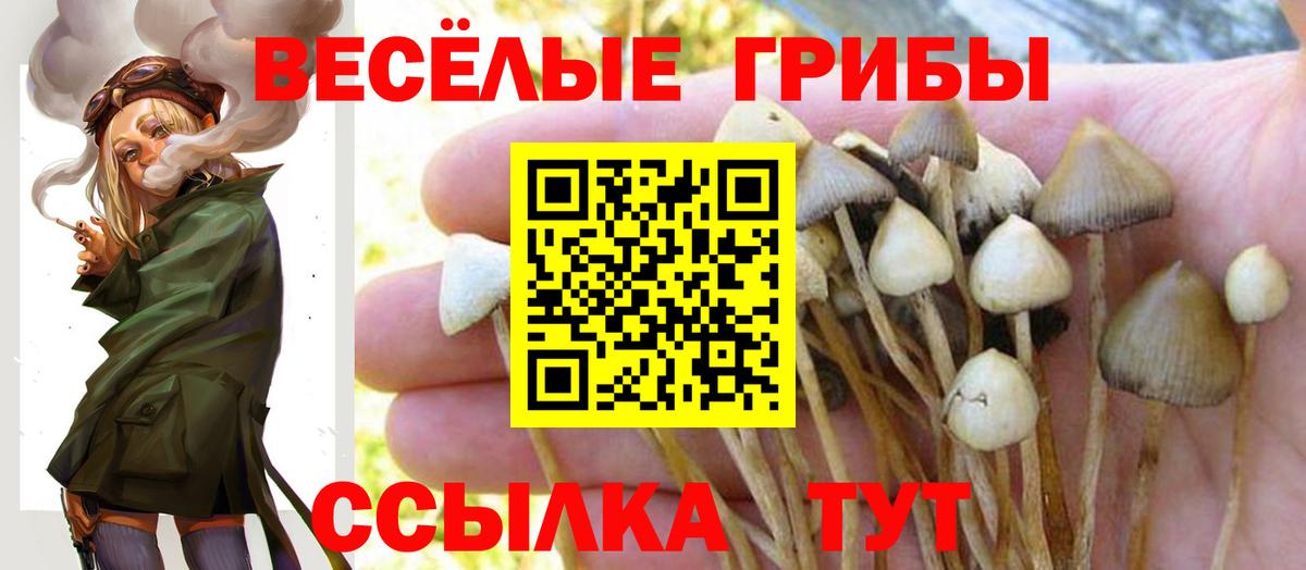 Галлюциногенные грибы прущие грибы Черкесск