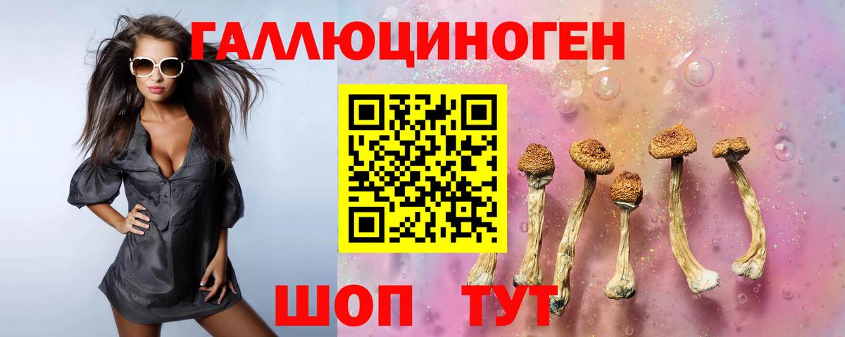 Черкесск  Псилоцибиновые грибы мицелий  купить закладку  Вход с VPN 